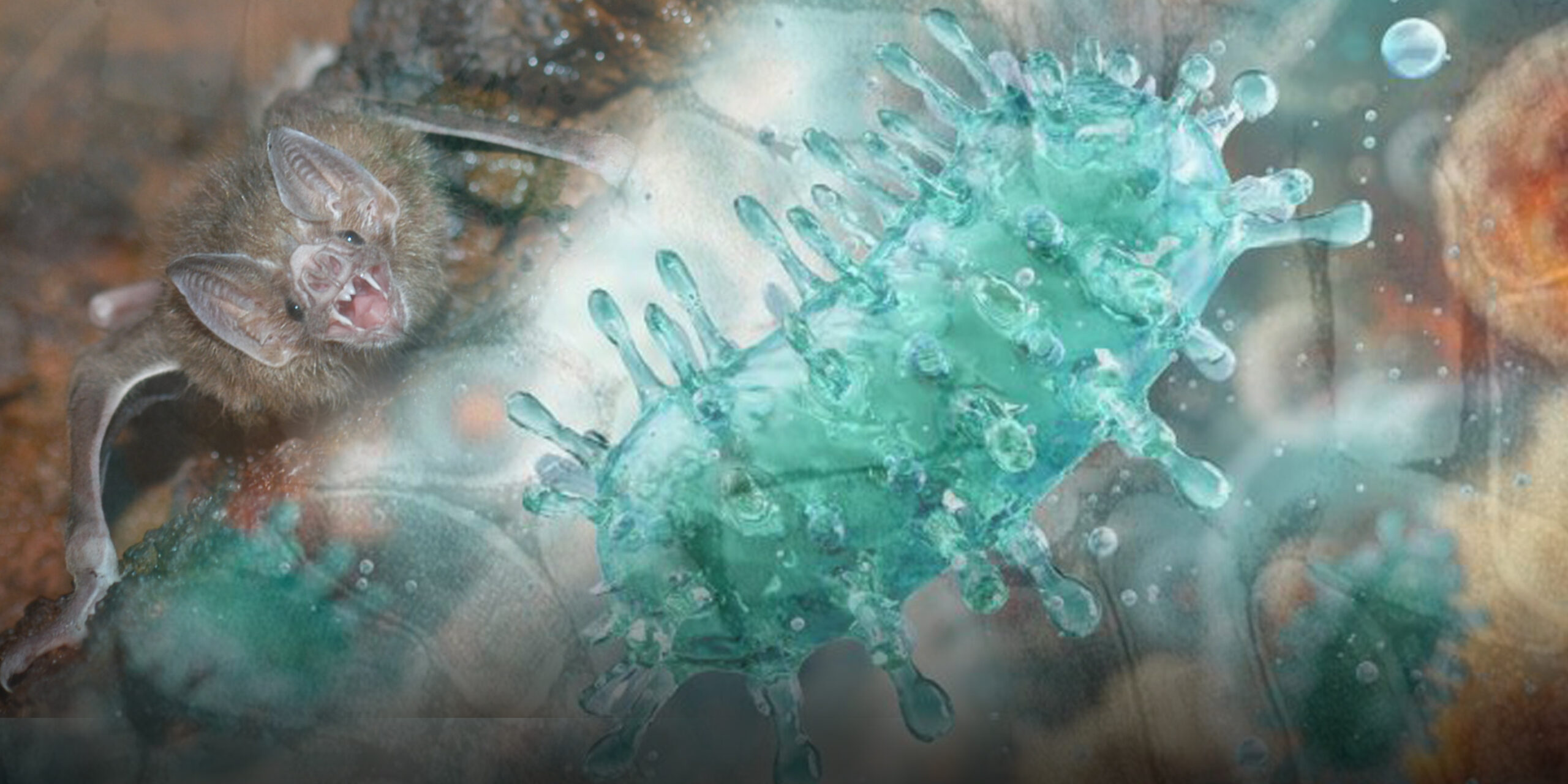 ISP advierte sobre presencia de rabia en murciélagos e insta a vacunar a mascotas